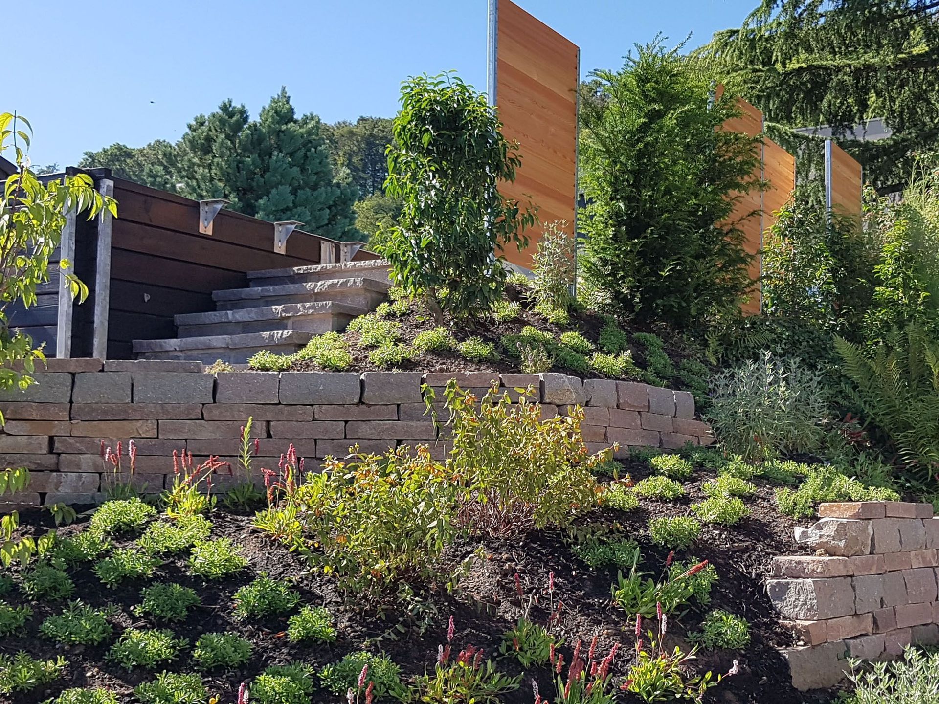 Mauern Trockenmauer Luserna-Granit - Lüthi Gartenbau GmbH
