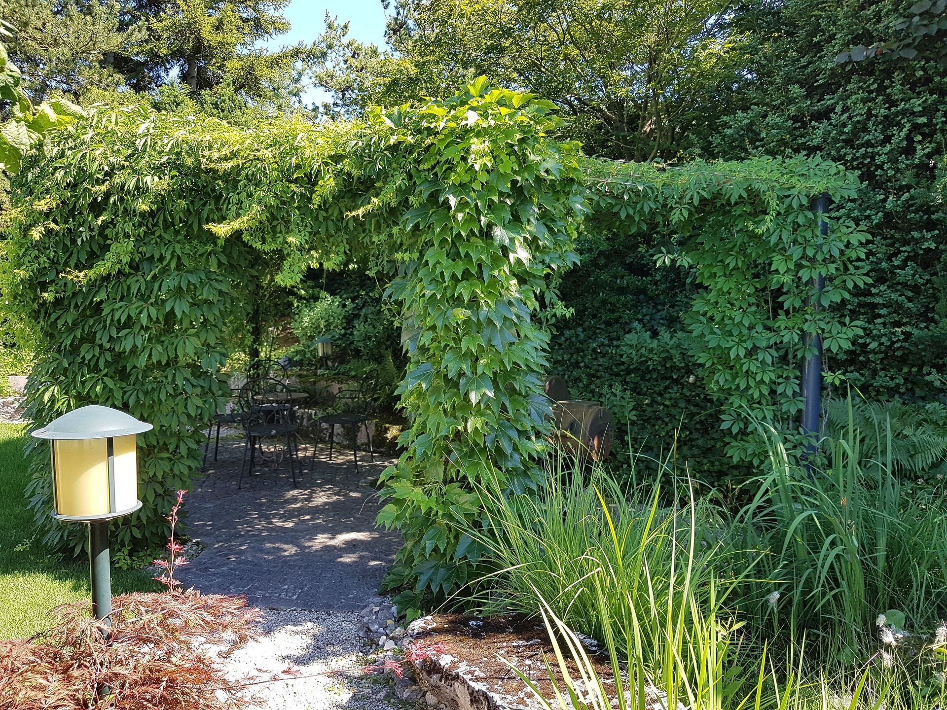 Pergola bewachsen - Lüthi Gartenbau GmbH