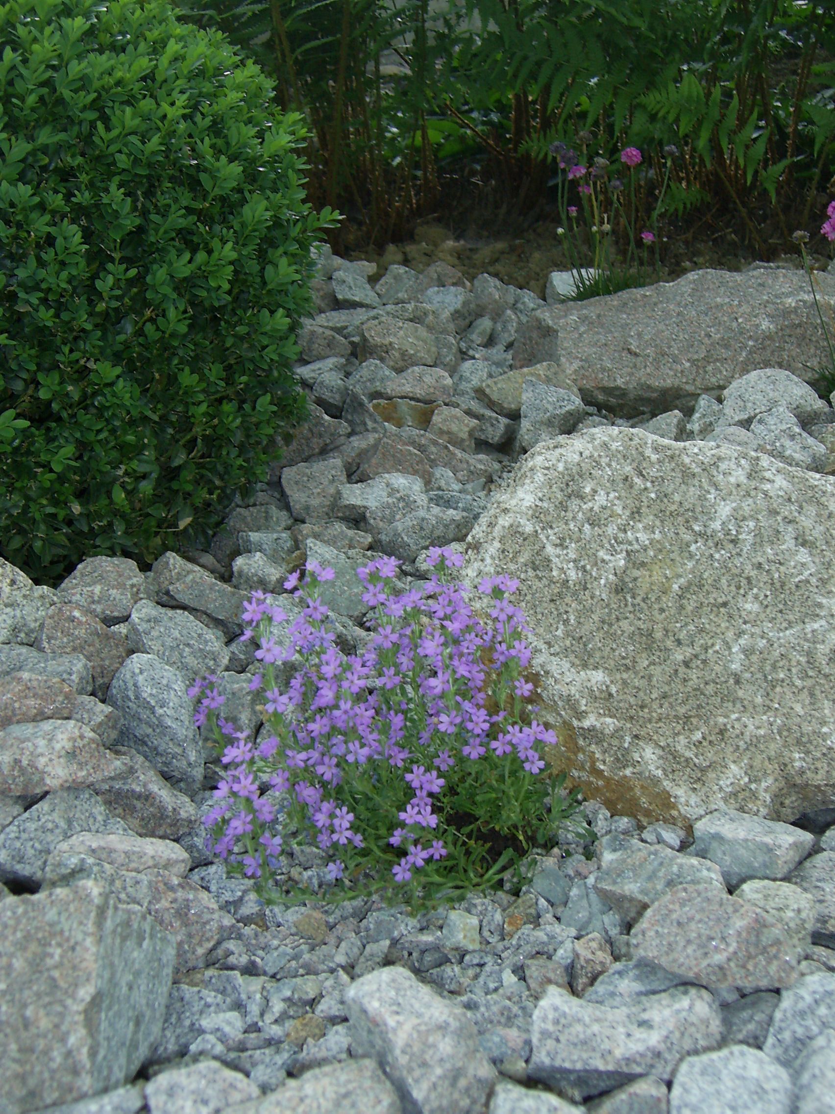 Steingarten - Lüthi Gartenbau GmbH