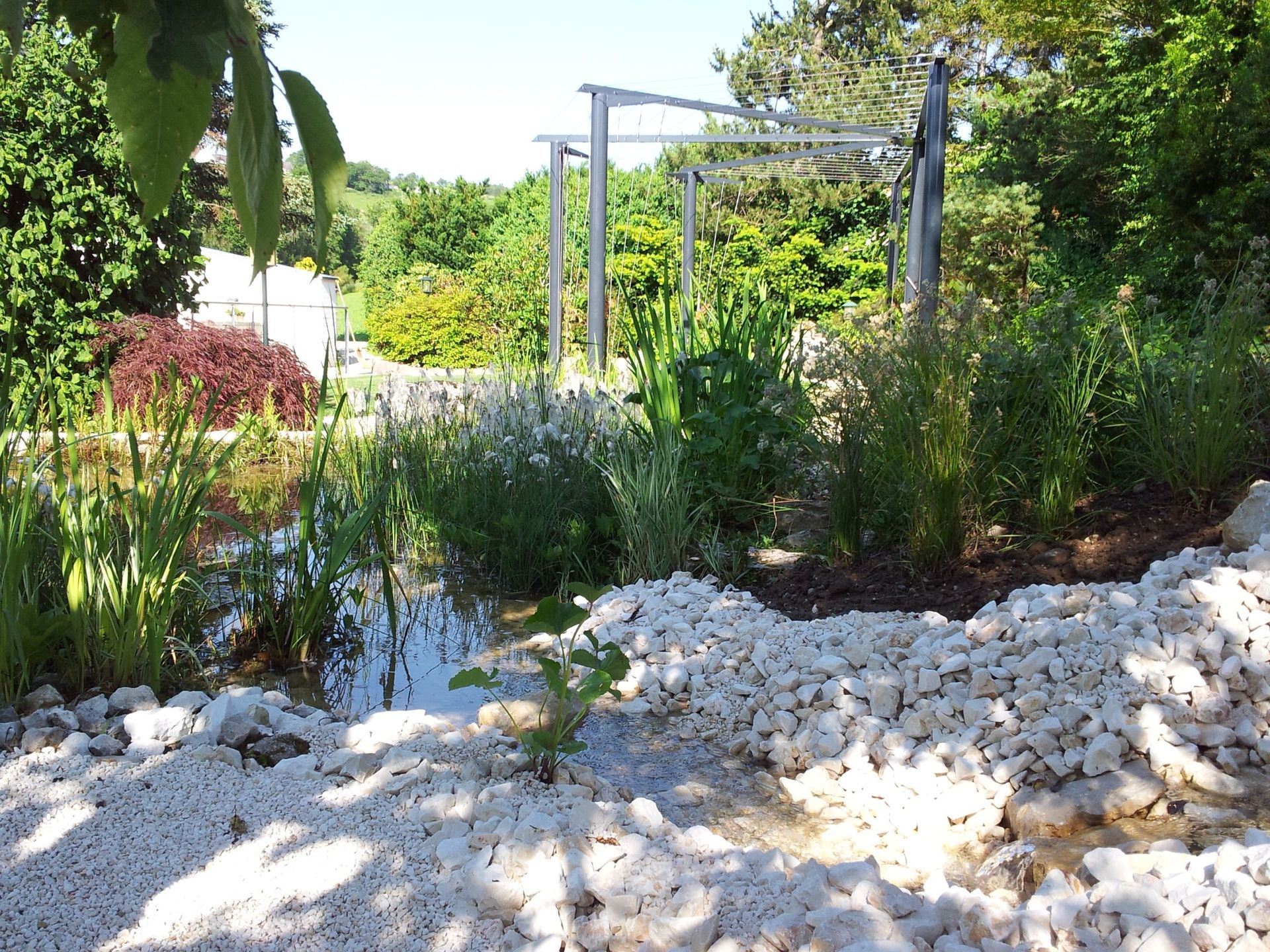 Teichanlage - Lüthi Gartenbau GmbH