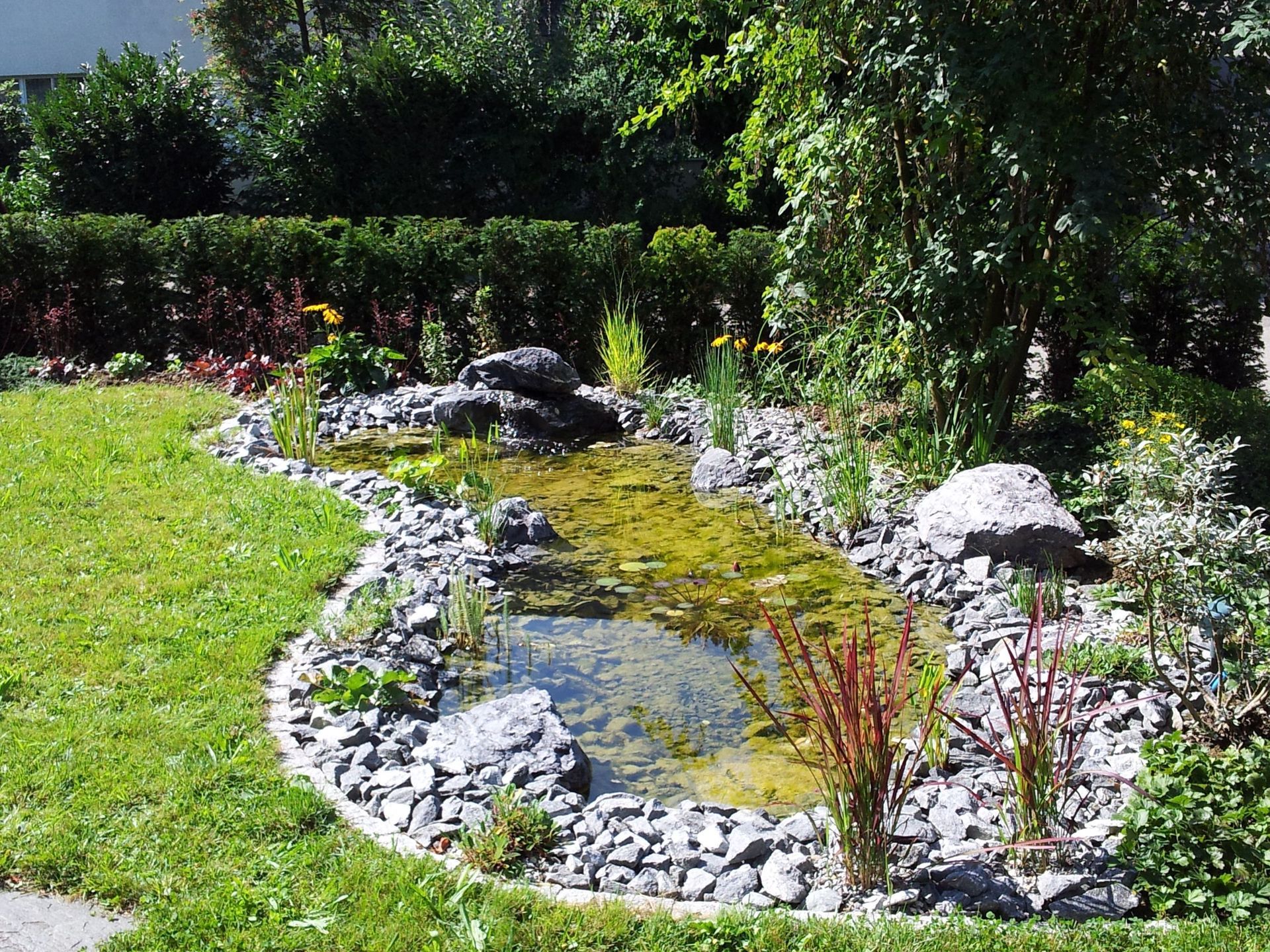 Teichanlage - Lüthi Gartenbau GmbH