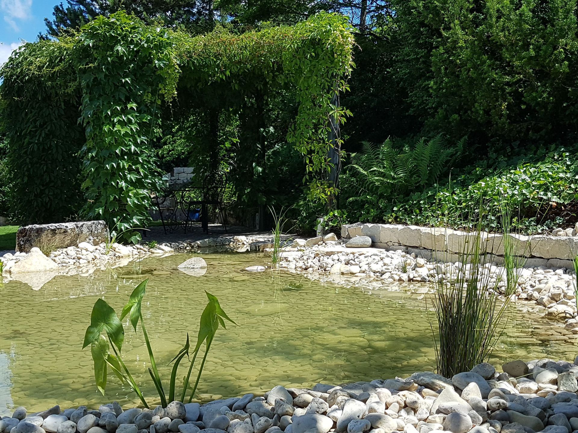 Teichanlage - Lüthi Gartenbau GmbH