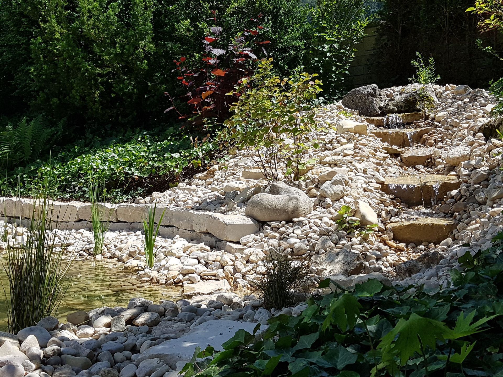 Teichanlage - Lüthi Gartenbau GmbH