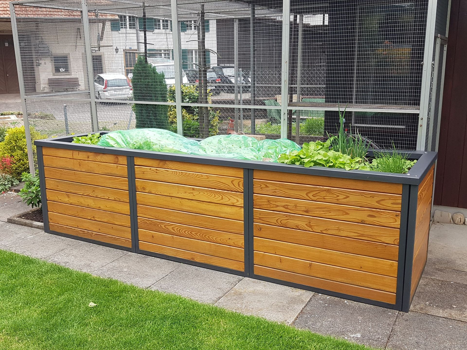 Lüthi Gartenbau GmbH