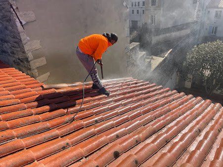 Nettoyage de toute la toiture