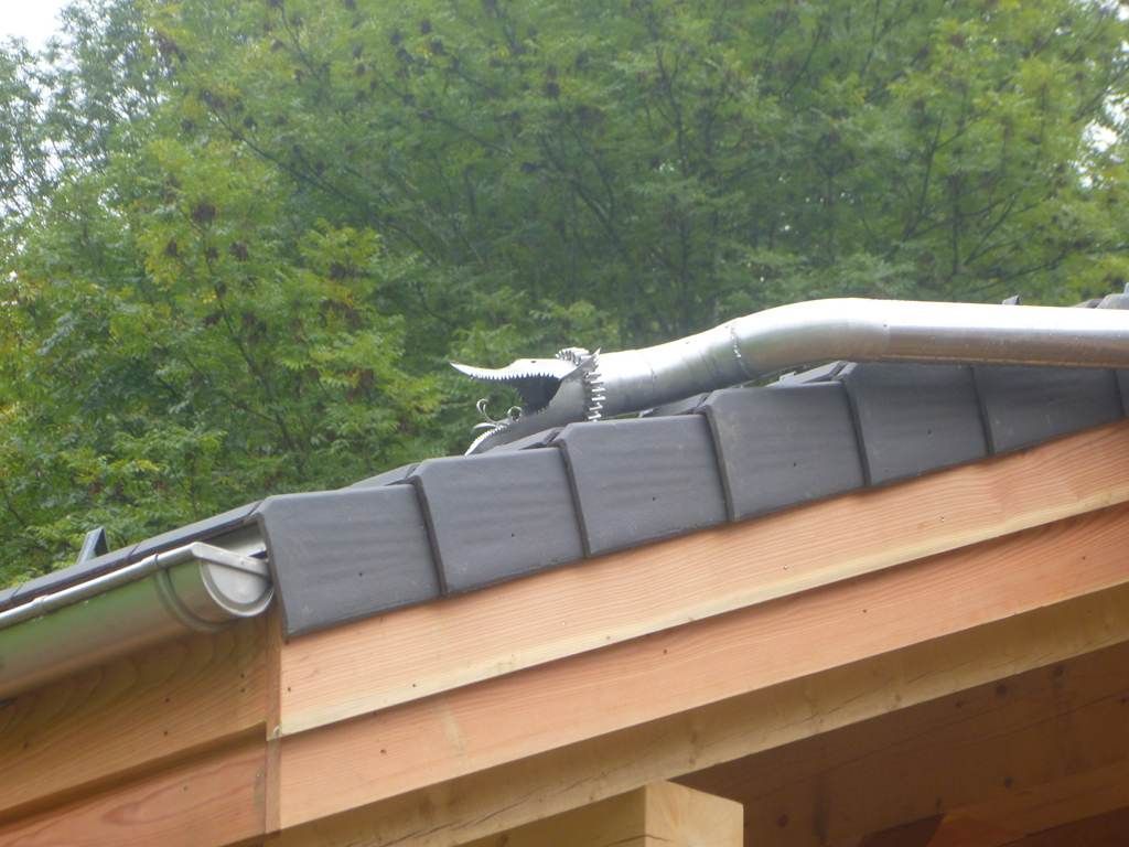 Gros plan sur le détail d'un élément de zinguerie en forme de poisson.