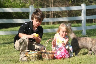 Buschenschenke Chressibuech