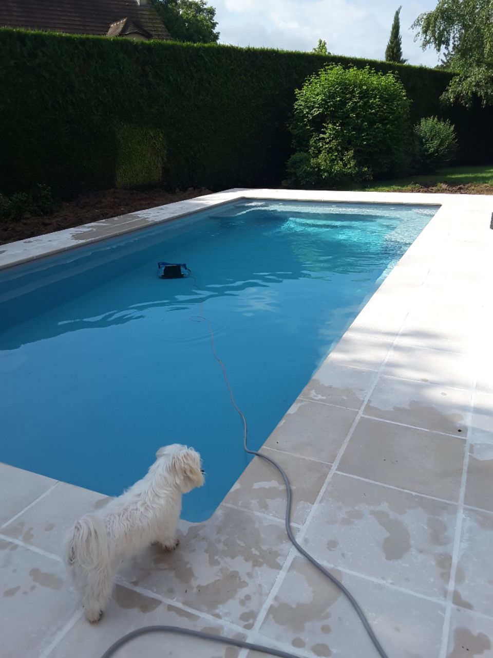 Piscine avec terrasse en dalles