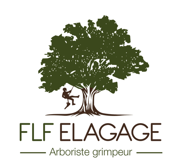 Logo LFL ELAGAGE