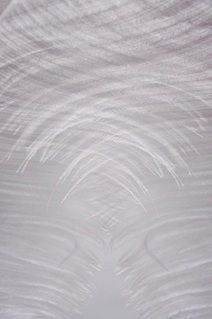 Un primer plano de una pluma blanca sobre una superficie blanca.