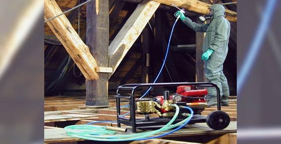 Injection traitement des bois 