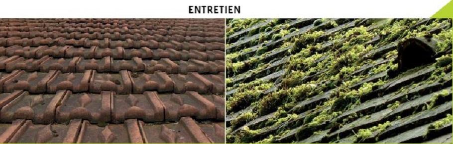 Entretien toitures