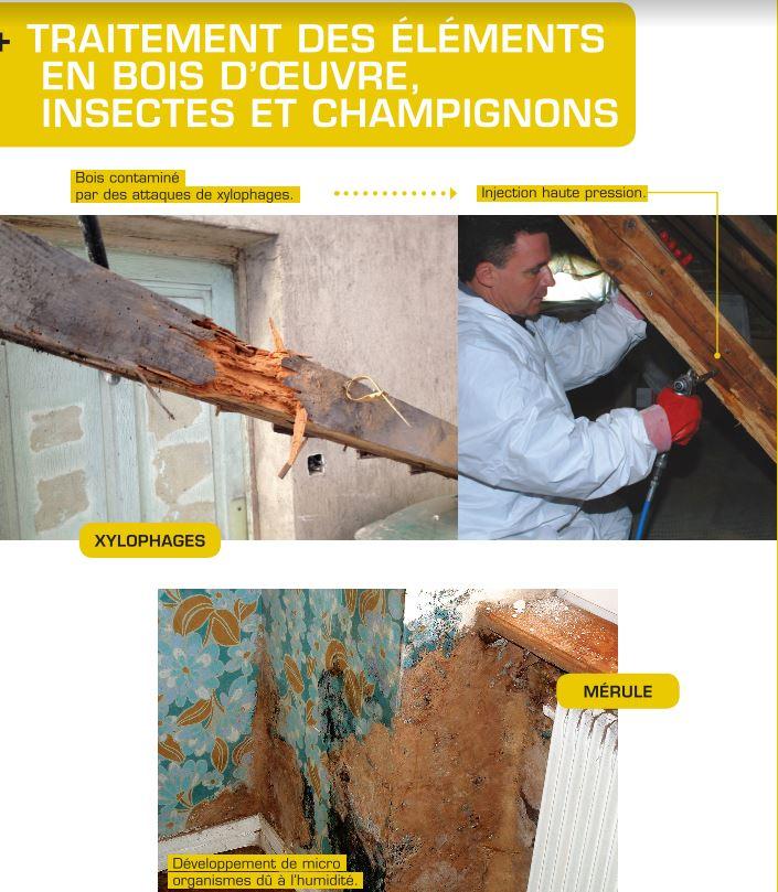 Traitement des éléments en bois d'oeuvre