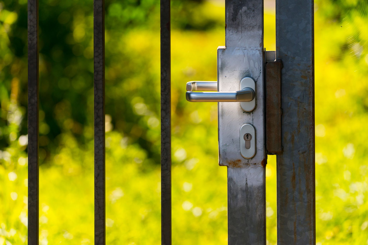 Poignée de portail et serrure argentées sur un portail en métal avec fond vert flou.