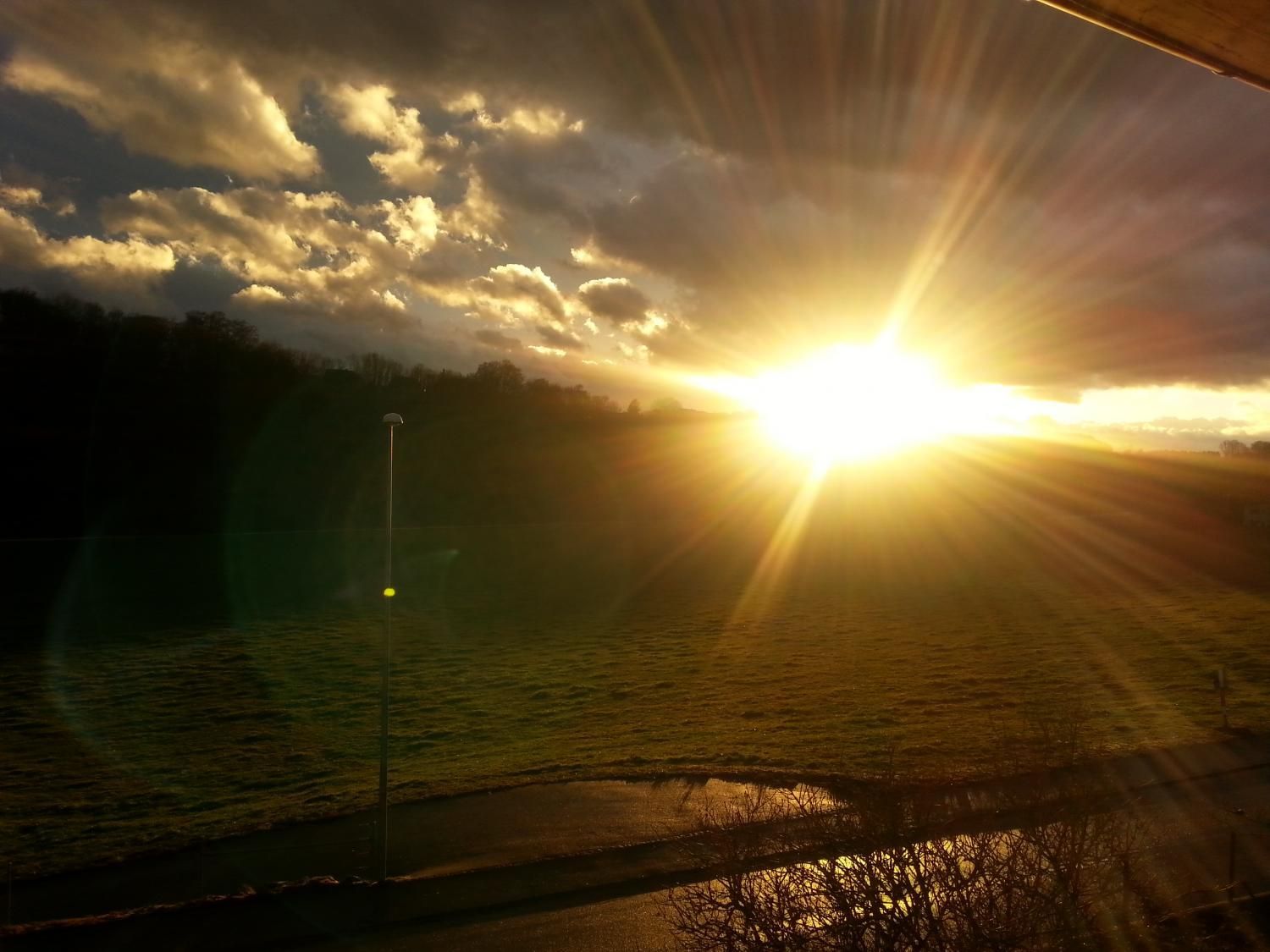 Glas- und Gebäudeservice Düring