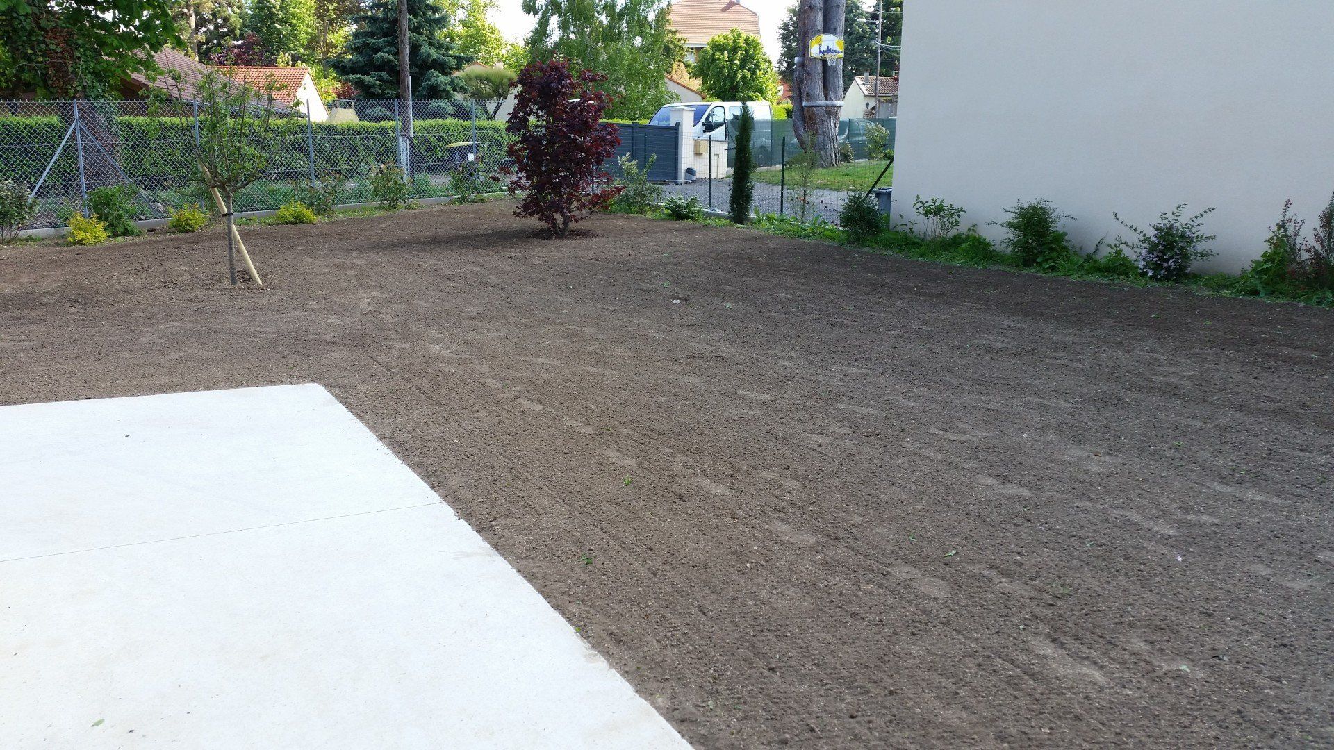 Plantation engazonnement grillage