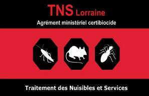 TNS Lorraine Logo