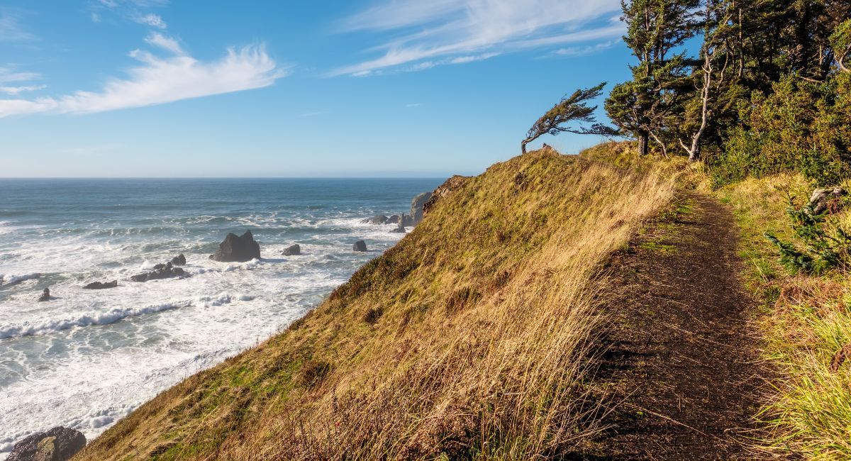 A hiking trail next to the ocean on the Oregon coast