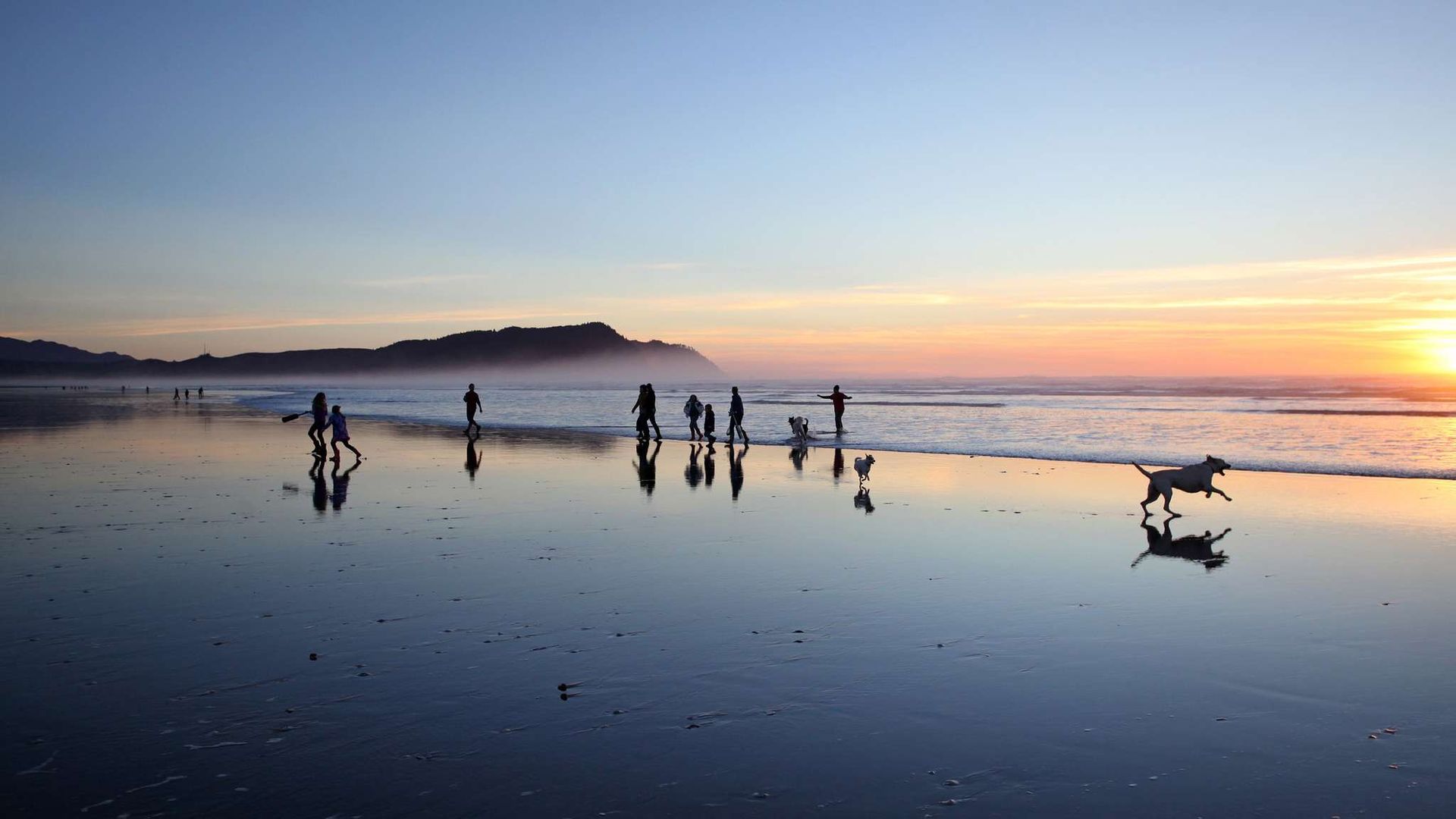 Beach at sunset, people and dogs walking in shallow water. Calm waves reflect the sky.