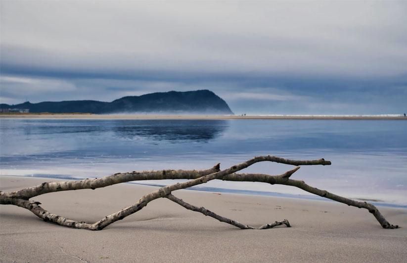 Serene view of Gearhart Beach in Oregon with driftwood on the sand, misty mountains in the background, ideal for solo travelers seeking peace and natural beauty