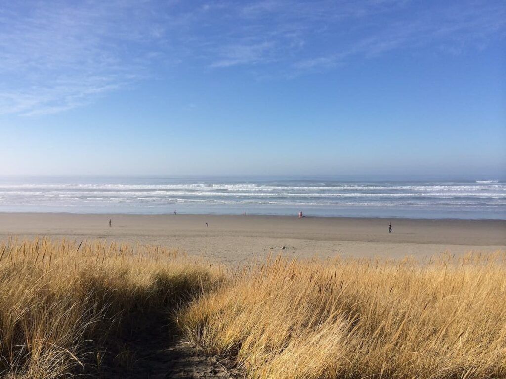 Golden dune grass overlooking the wide, open shoreline at Gearhart Beach, Oregon