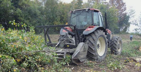 Travaux forestier - 16 Angoulême