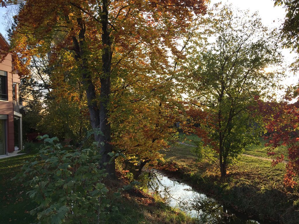 Immobilie - ZINDEL Immobilien Treuhand GmbH - Winterthur