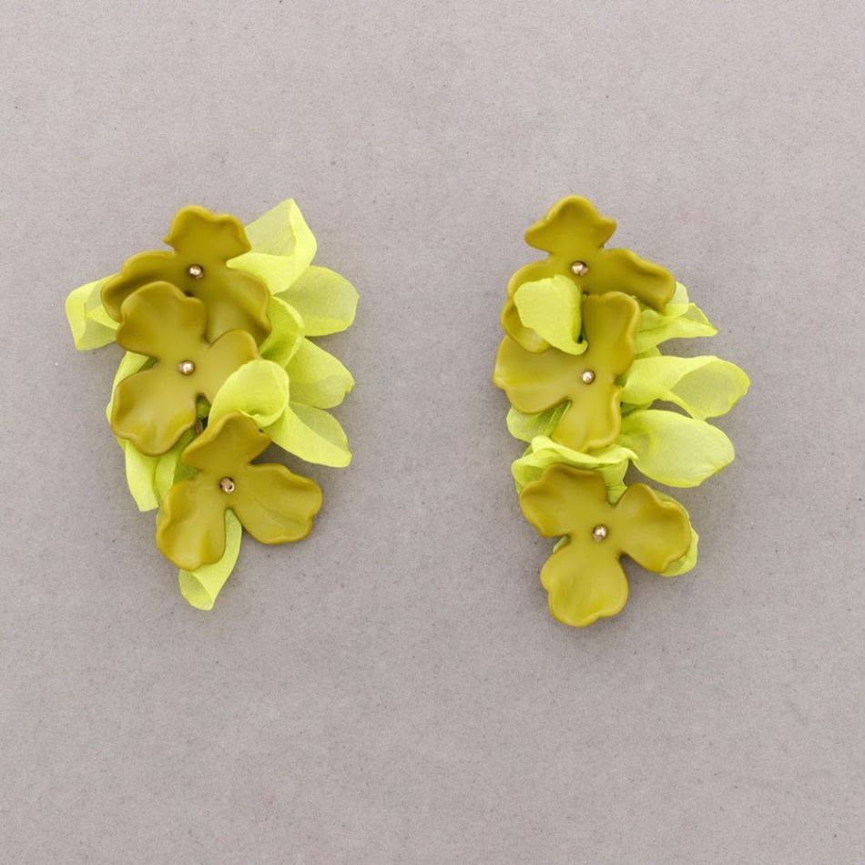 Dos pequeños racimos de flores amarillas sobre un fondo gris claro.