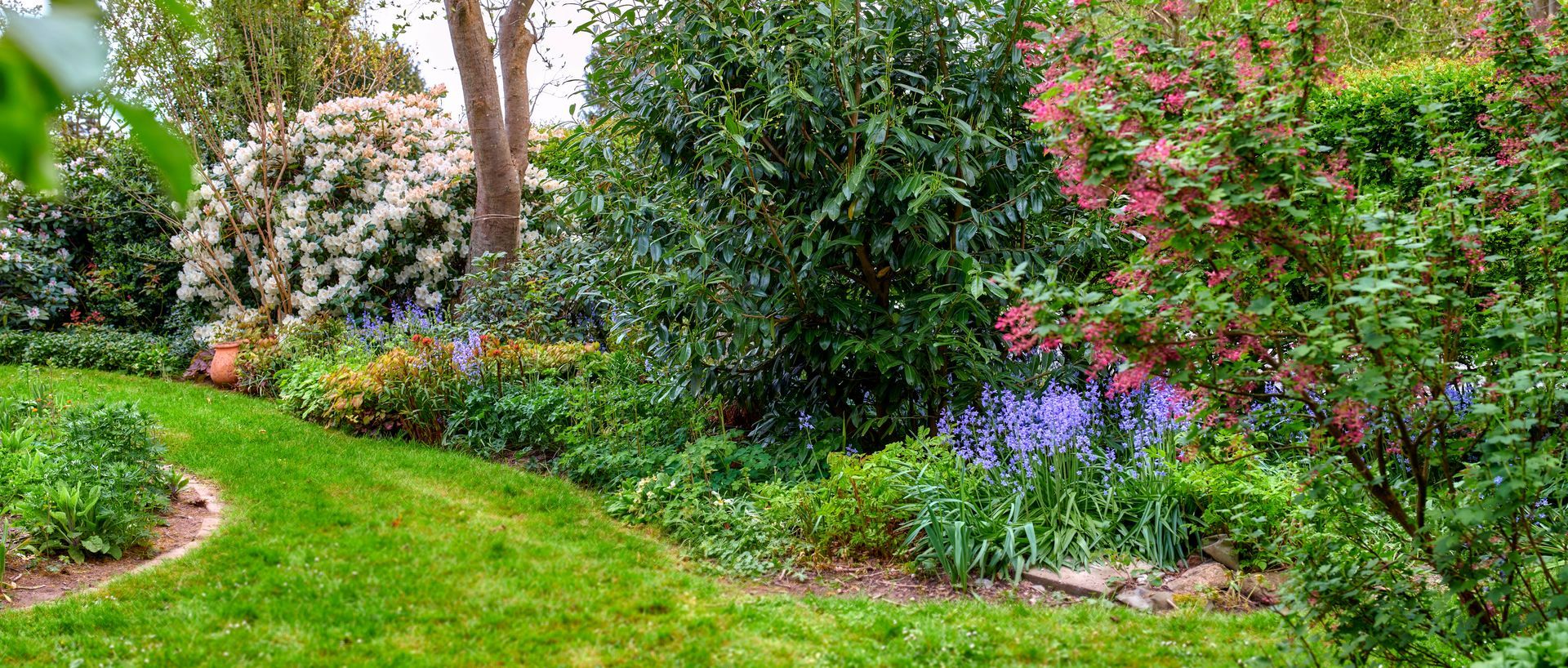Allée de jardin luxuriante bordée de fleurs colorées, d'arbustes et d'arbres