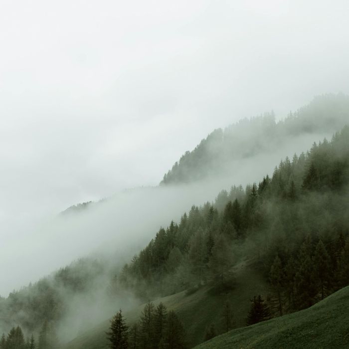 Ein von Nebel und Bäumen bedeckter Berg an einem bewölkten Tag.
