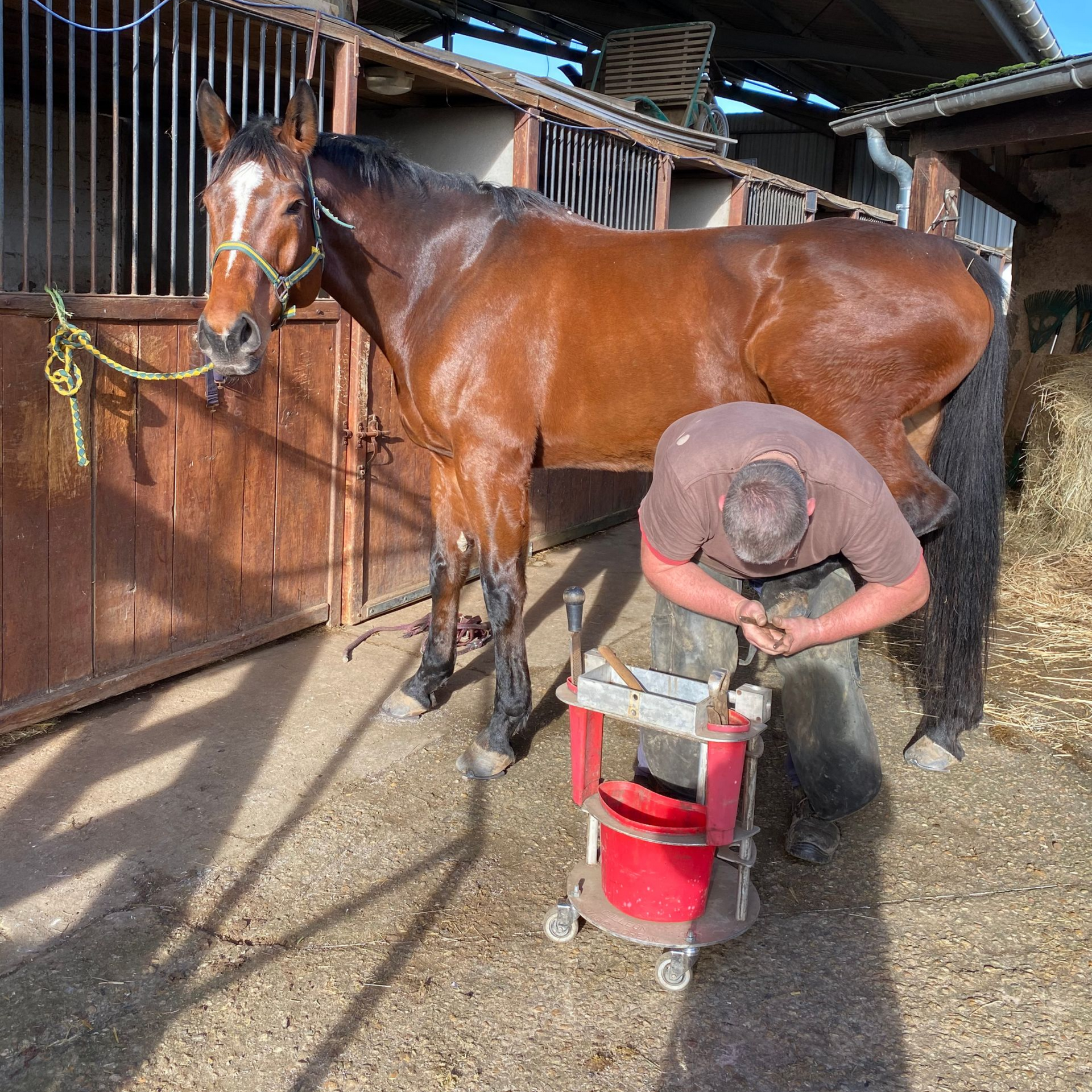 Personne tenant un sabot de cheval, fer à cheval visible. Jambe noire et blanche, pantalon gris.