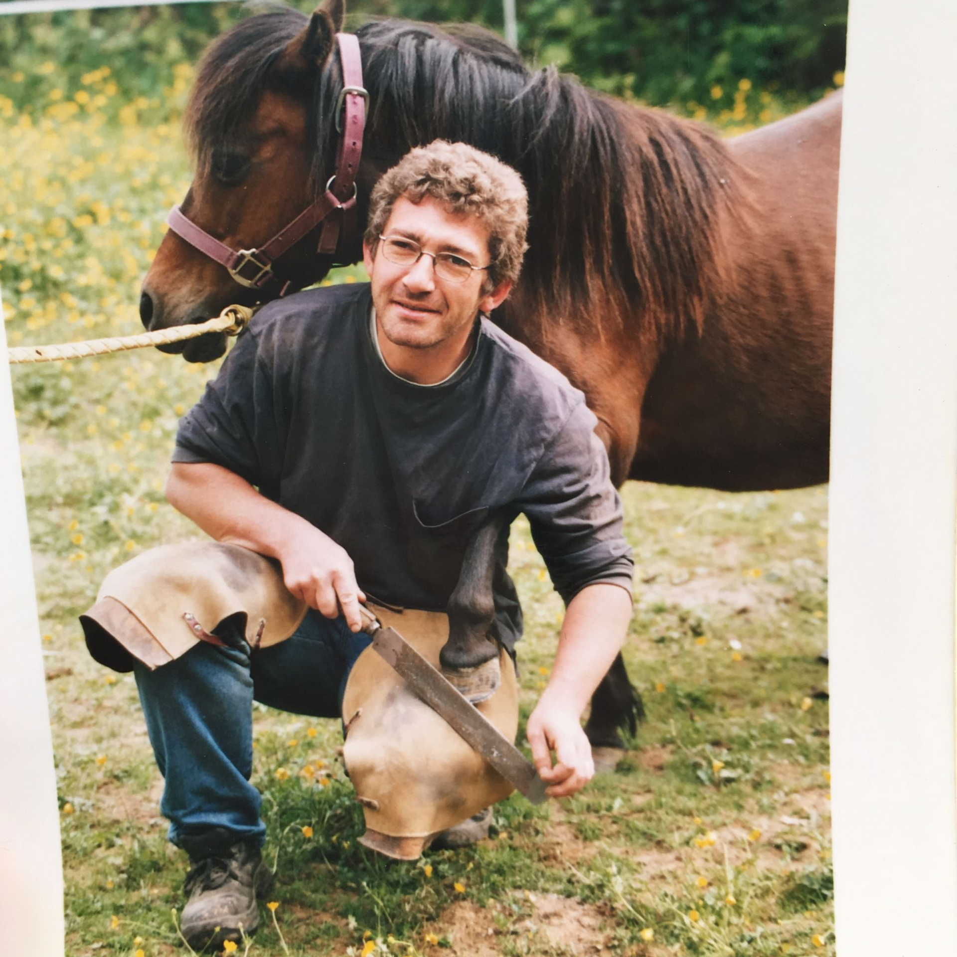 Un chameau et un cheval se tiennent sur l'herbe tandis qu'un homme met un fer au cheval.