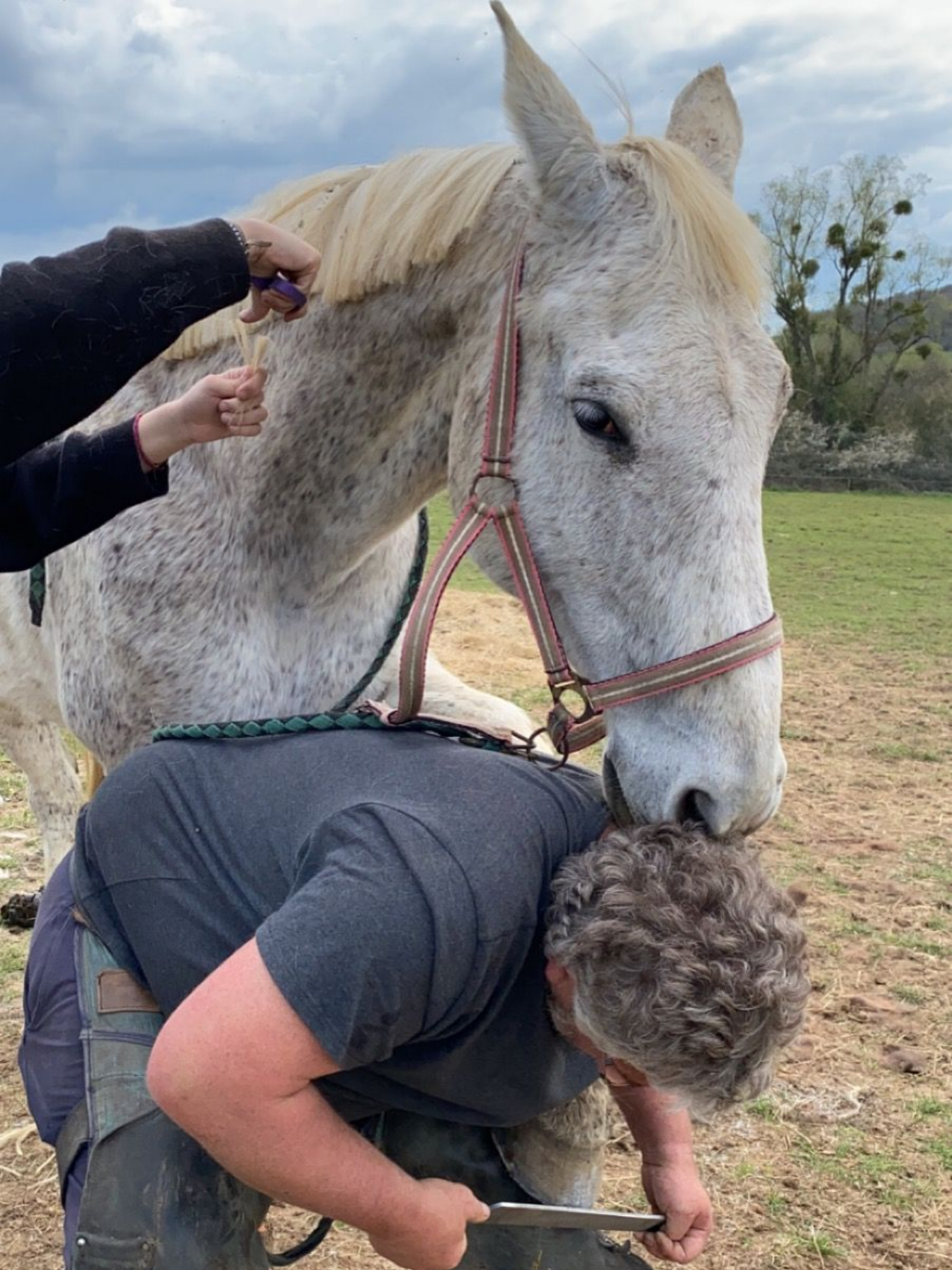 Un maréchal-ferrant coupe le sabot d'un cheval à l'extérieur avec des outils, gros plan.