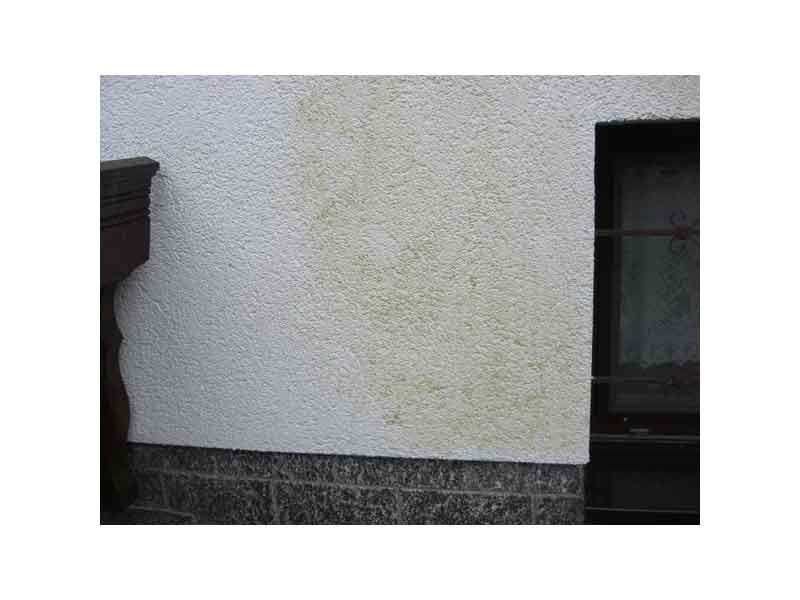 Dachdeckerei Nickoleit