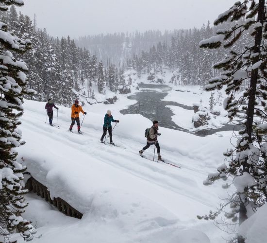 Quatre personnes pratiquent le ski de fond dans un paysage enneigé près d'une rivière partiellement gelée.