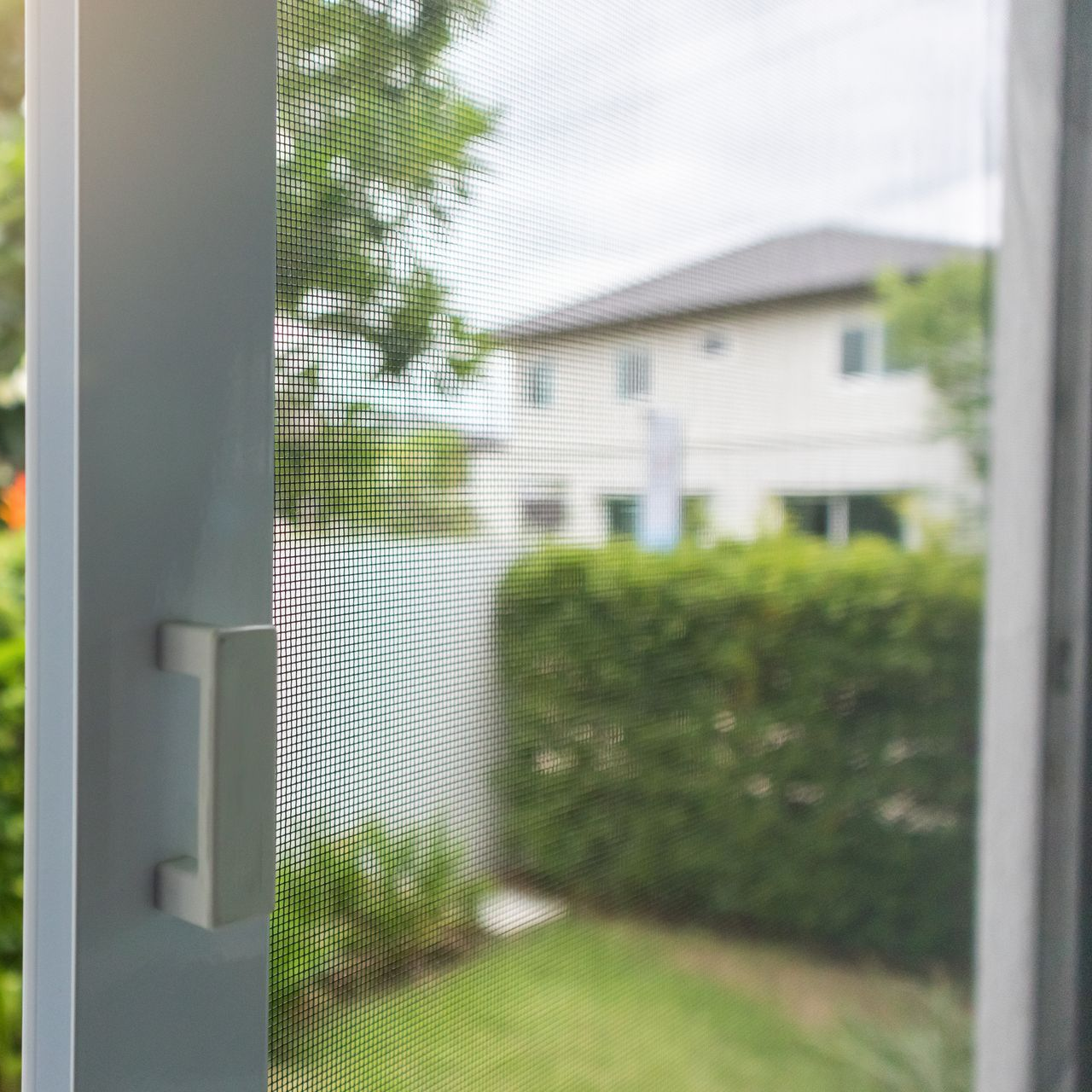Moustiquaire sur fenêtre