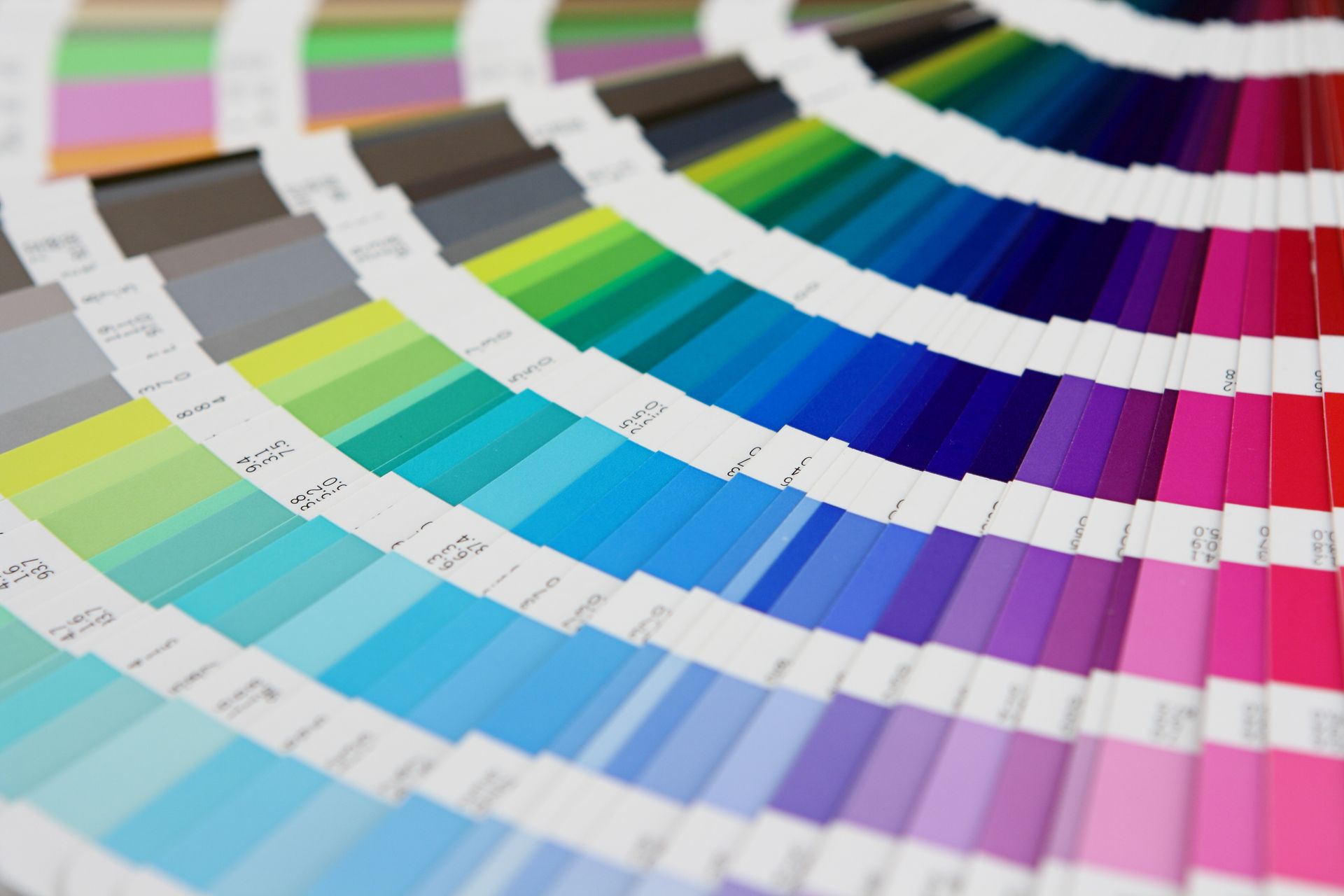 Éventail de couleurs variées, allant du rose au vert en passant par le bleu.