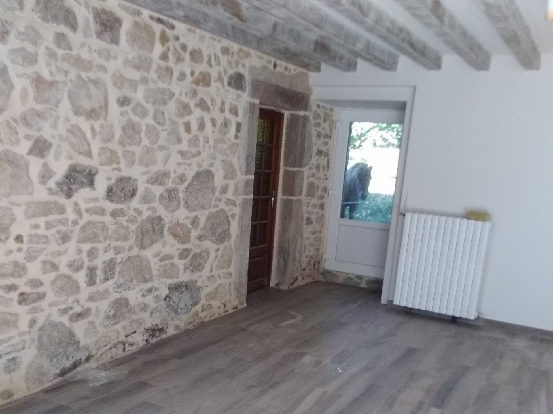 Intérieur avec mur en pierre, porte en bois, fenêtre et radiateur ; aperçu d'un animal sombre à l'extérieur.