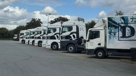 Weiße Lastwagen parken in einer Reihe unter einem bewölkten Himmel.