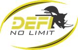Logo DEFI No Limit