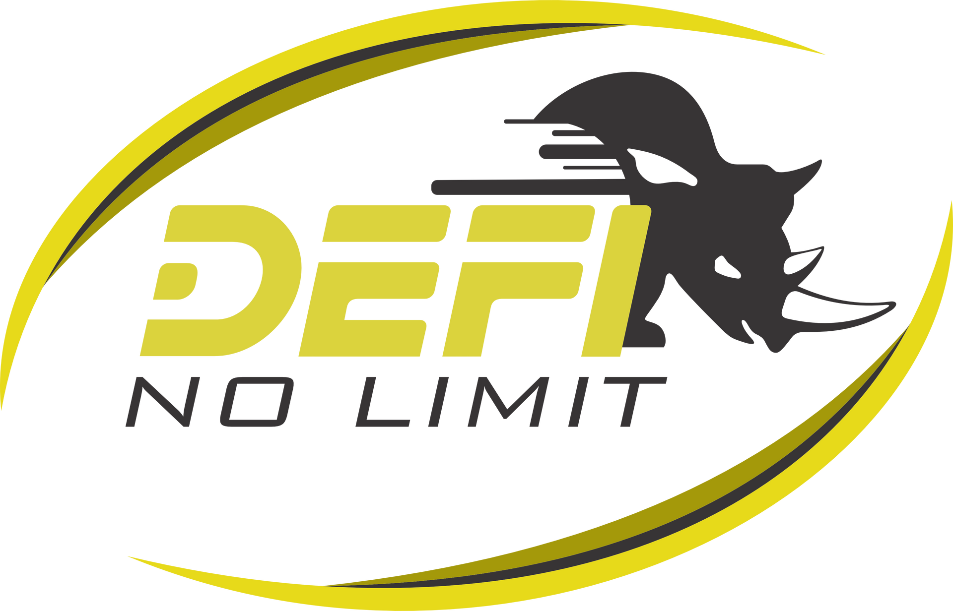Logo DEFI No Limit