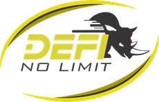 Logo DEFI No Limit