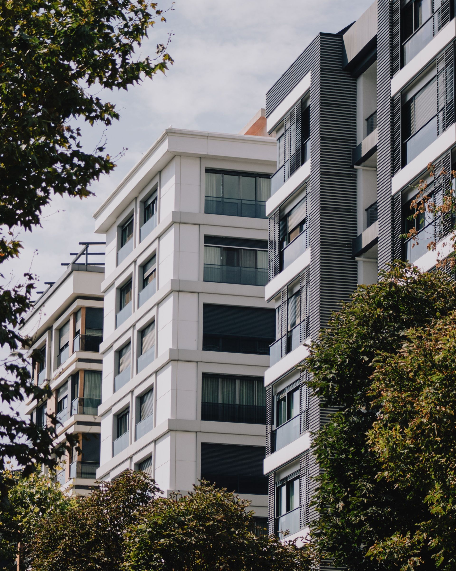 Edificios de apartamentos modernos enmarcados por árboles en una calle de la ciudad.
