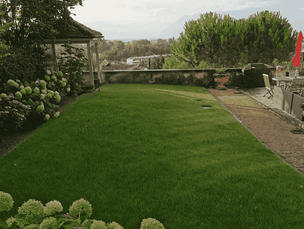 Ambition Paysage Sàrl - entretien de jardin – paysagiste – plantation- Lausanne