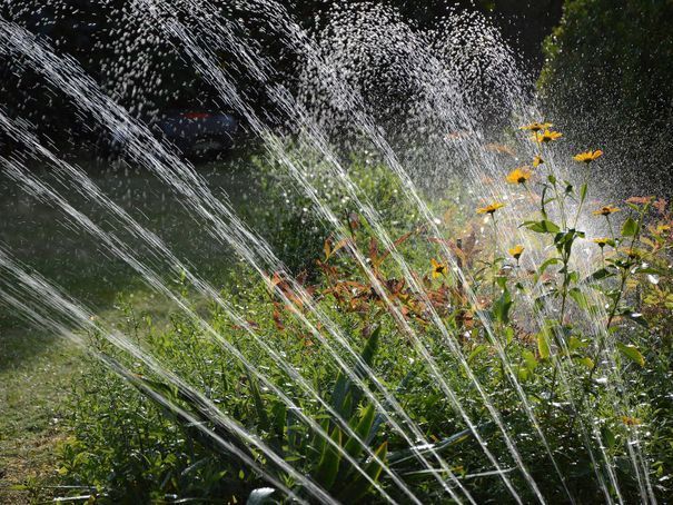 Ambition Paysage Sàrl - arrosage automatique – paysagiste – plantation- Lausanne