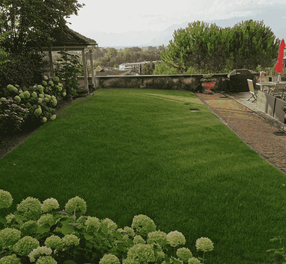 Ambition Paysage Sàrl - création et entretien de jardin – paysagiste – plantation- Lausanne