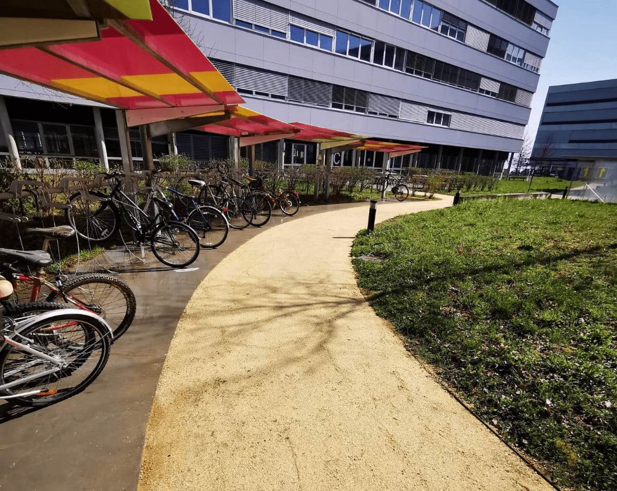 Ambition Paysage Sàrl - création et entretien de jardin – paysagiste – plantation- Lausanne