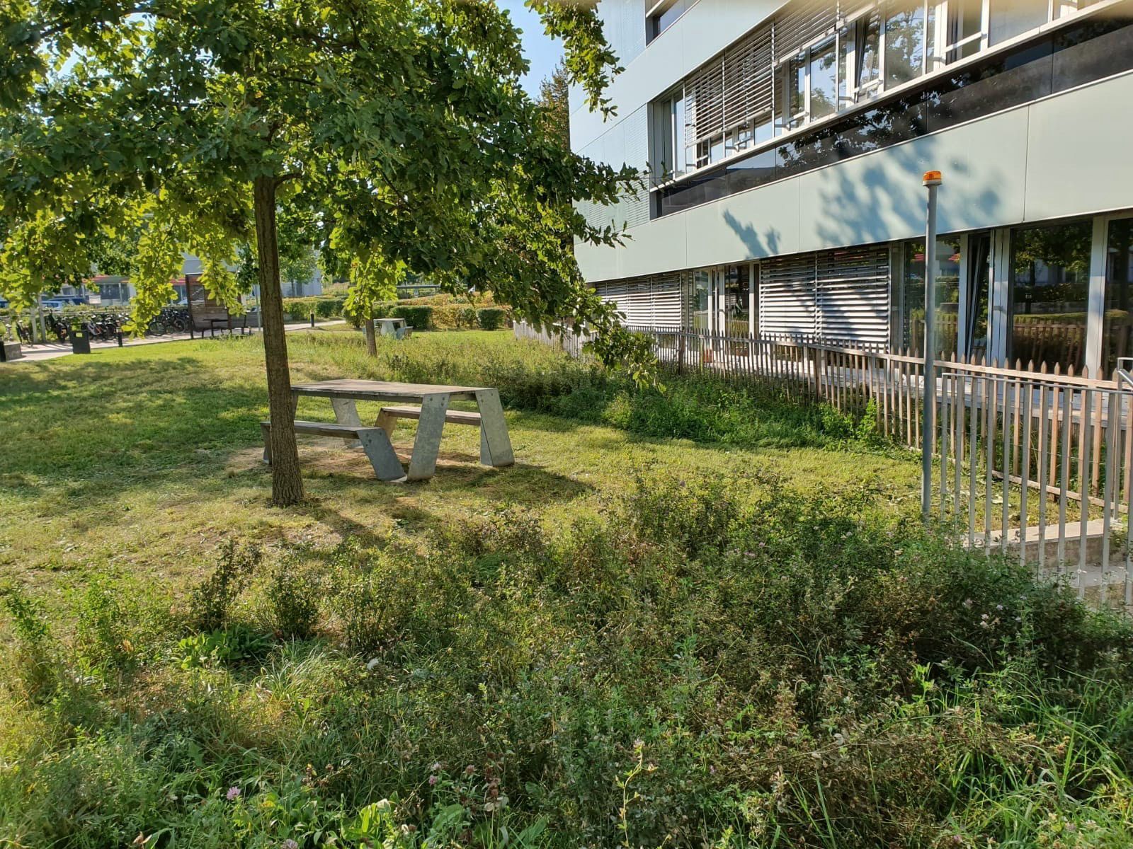 Ambition Paysage Sàrl - création et entretien de jardin – paysagiste – plantation- Lausanne