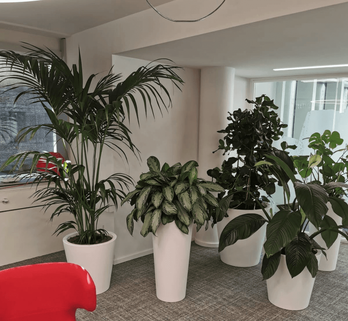 Ambition Paysage Sàrl - création et entretien de jardin – paysagiste – plantation- Lausanne