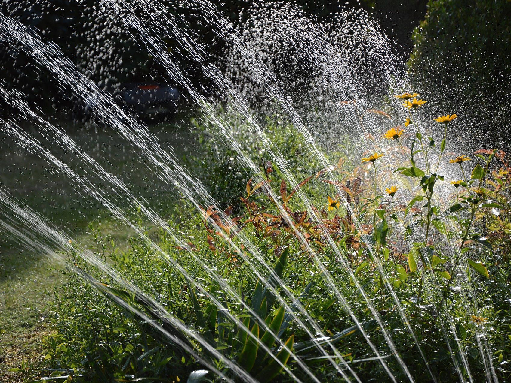 Ambition Paysage Sàrl – entretien et création de jardin - réalisation d’arrosage automatique